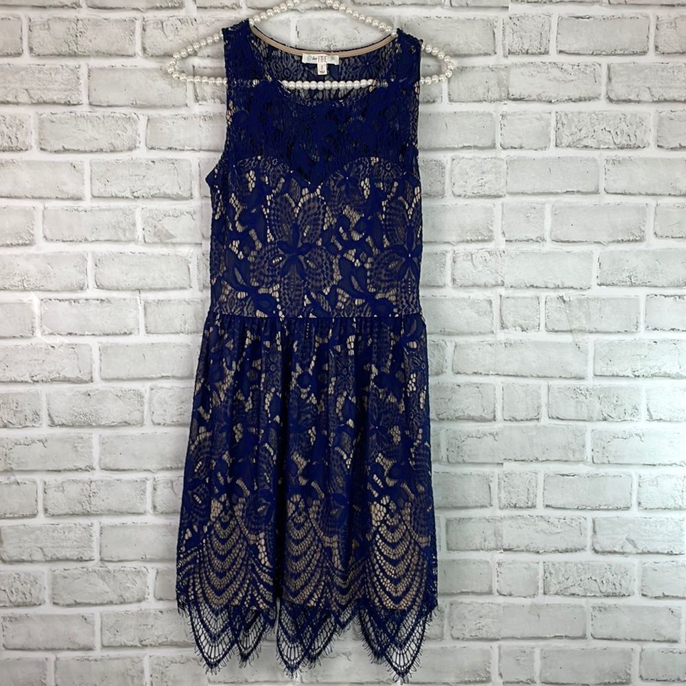 Love Fire Navy Lace Dress Nude Lining Sleeveless Size Small Asymmetrical…